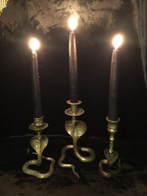 antique brass cobra snake candle holders Victorian Occult, Gothic Things, Victorian Candles, Gothic Candle Holder, Occult Decor, Creepy Houses, Victorian Goth, Goth Decor, Home Altar