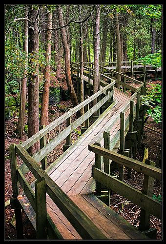 Walk in the Park, Crawford Lake Park - Milton, Ontario, Canada <3 Hiking Ontario, Ontario Hiking, Toronto Trip, Milton Ontario, Wooden Path, Ontario Parks, Camping Inspiration, Ontario Travel, Waterfall Hikes