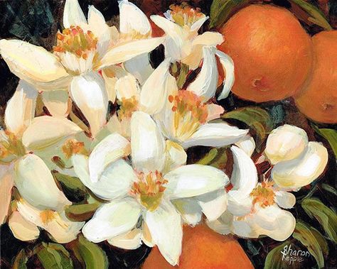 Orange Blossoms by Sharon Repple Acrylic ~ 8" x 10" Orange Artwork, Orange Blossoms, Acrylic Painting Flowers, Blossom Tattoo, Blossoms Art, Fruit Painting, Learn Art, Pretty Photos, Flower Art Painting