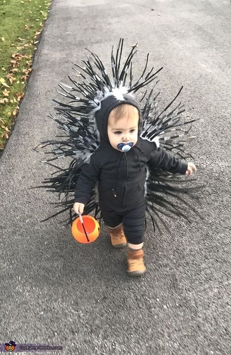 My 14 month old son is wearing the costume. I got the idea of seeing a couple porcupine costumes on Pinterest. I took those photos I saw and created my own costume, using elements from those inspiration photos. I bought a dark grey sweat suit... Baby Porcupine, Old Halloween Costumes, Halloween Costumes Kids Boys, Newborn Halloween Costumes, Baby Boy Halloween, Newborn Halloween