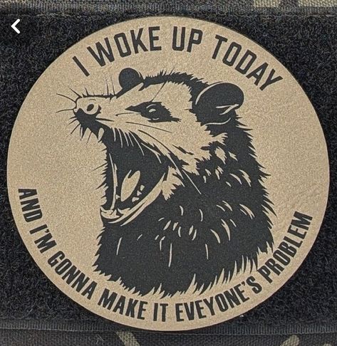 I Woke Up Today, Tactical Hat, Funny Patches, Hat Hook, Plate Carrier, Morale Patch, Sarcastic Quotes Funny, Work Humor, Sarcastic Quotes