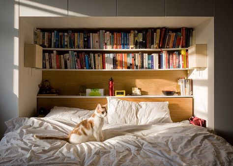 Nook Library, Design Del Prodotto, Dream Spaces, Book Shelf, Dream Rooms, Bedroom Inspo, My New Room, Dream Room, New Room