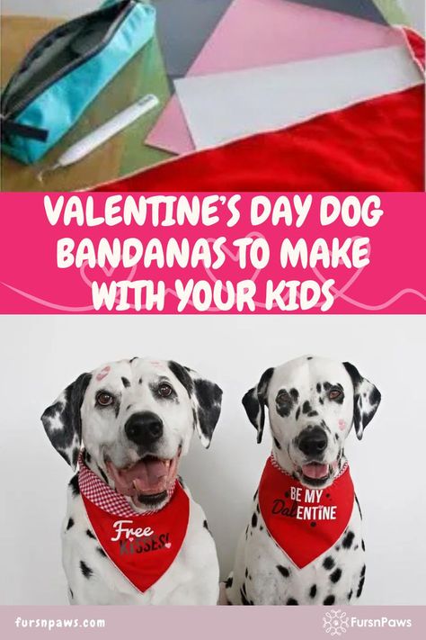 Dog valentines craft Dog Bandana Diy, Craft Diy Ideas, Cute Dog Costumes, Bandanas Diy, Dog Craft, Puppy Valentines, Dog Valentine, Cute Dog Collars, Valentines Day Dog