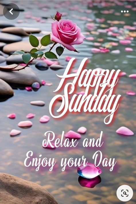 Good Sunday Morning Gif, Happy Sunday Images Beautiful, Sunday Good Morning Images, Good Morning Sunday Blessings, Blessings Sunday, Happy Sunday Good Morning, Happy Sunday Pictures, Sunday Morning Images, Sunday Morning Wishes