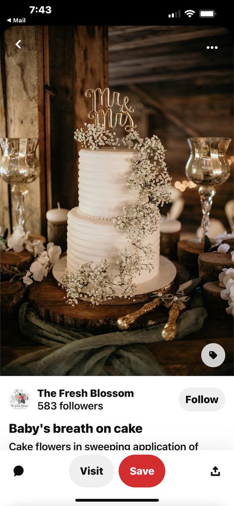 Wedding Cake With Baby Breath Flowers, Wedding Cake With Babysbreath, Wedding Cake Neutral Colors, Bare Cake Wedding, Cake With Baby Breath Flowers, Wedding Cake With Baby Breath, Wedding Cake Baby Breath, Baby’s Breath Cake, Wedding Cake Neutral