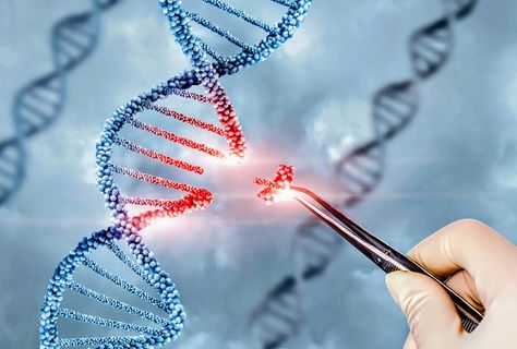 Gene Editing, Next Generation Sequencing, Human Embryo, Genetic Diseases, Personalized Medicine, Genetic Engineering, Gene Therapy, Cell Therapy, Genetic Disorders