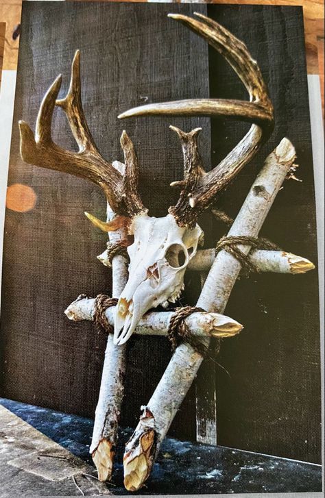 Antler Hanging Ideas, Man Cave Deer Mounts, Pack Out Deer Mount, Deer Wall Mount Ideas, European Deer Mount Ideas Girly, Euro Mount Display, European Skull Mount Ideas, Euro Mount Ideas, Whitetail Mounts