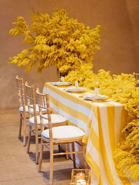 Table decor with mimosa flowers Wedding Tablesetting, Catering Decor, Green Tablescape, Mimosa Flowers, Wedding Trends 2024, Setting A Table, Yellow Christmas, Mimosa Flower, Celebrate Women