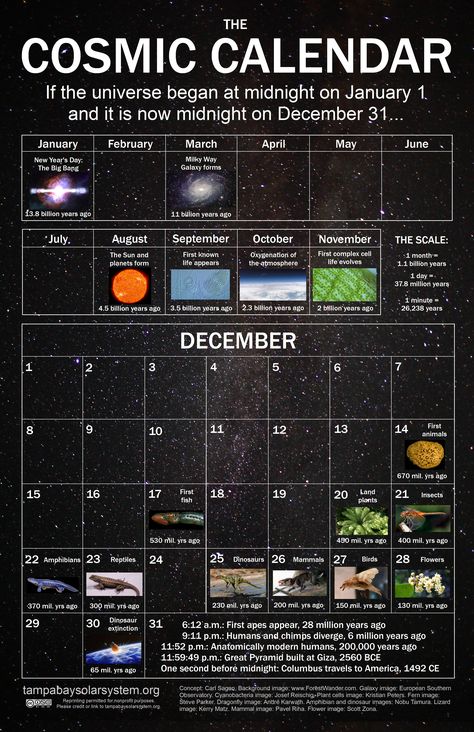 Cosmic Calendar Model Of The Solar System, Cosmic Calendar, Information About Space, Facts About Earth, Chinese Alphabet, What Will Happen Next, Astro Science, Astronomy Poster, Astronomy Facts