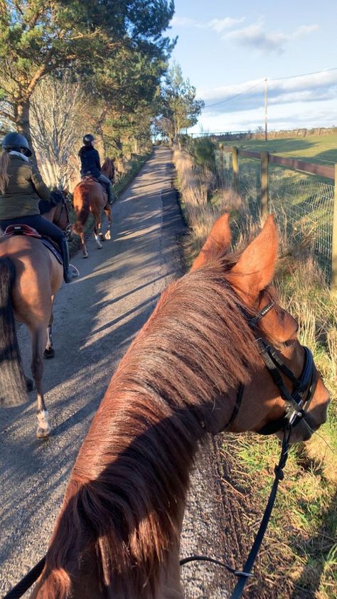 Equestrian Chic Fashion, Irises Aesthetic, Horseback Riding Outfit, Riding Outfit Equestrian, Aesthetic Equestrian, Horsey Life, Equestrian Outfit, Horseback Riding Outfits, Equestrian Aesthetic