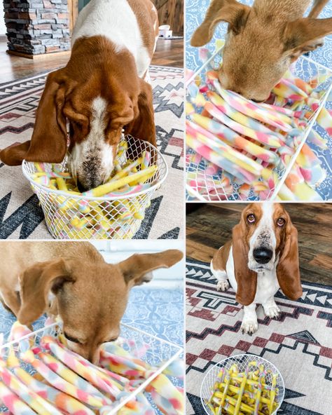 Dollar Store Dog Hacks, Dog Toys To Make, Snuffle Dog Toy, Diy Games For Dogs, Diy Dog Treat Puzzles, Dollar Tree Dog Diy, Diy Dog Puzzle Toys, Diy Sniff Mat For Dogs, Toys For Dogs Diy