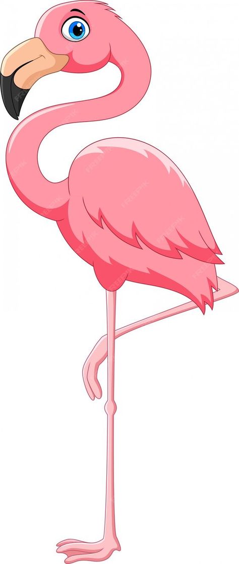 Flamenco Animal, Flamingo, Clip Art, Animals, Art