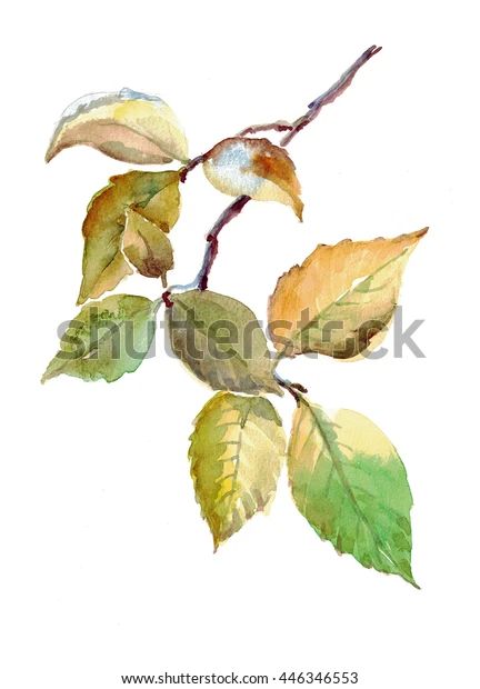 Watercolor Branch Leaves Stock Illustration 446346553 Watercolor Branches, Vine Drawing, Branch With Leaves, Gold Drawing, Branch Leaves, Birch Tree Art, Watercolor Leaf, Branch Art, Nature Watercolor