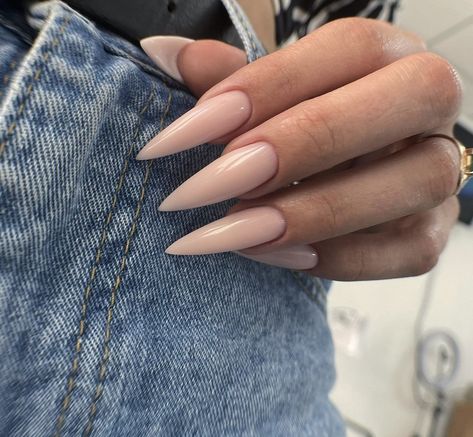 Stilleto Nails Neutral, Long Almond Nude Nails, Nude Nails With Design Almond, Nail Ideas Long Almond, Beige Stiletto Nails, Nude Stiletto Nail Designs, Stiletto Nude Nails, Almondetto Nails, Nail Ideas Stiletto