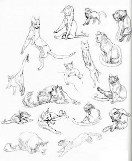 kitty poses...for the story my dad told me as a kid// good ideas and the site has tips on animating for anthropomorphism. perfect Cat Anatomy, Drawing Eyes, Cat Sketch, 강아지 그림, Animal Study, Animal Sketches, Arte Animal, Art And Illustration, Cats And Dogs