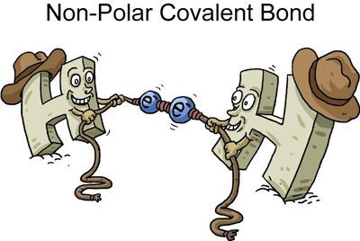 Non-Polar Covalent Bond: a bond where the electrons are shared equally-Jillian Charland Covalent Bond Cartoon, Ionic Bond Cartoon, Covalent And Ionic Bonds, Chemistry Bonding, Covalent Bonds, Chemistry Ideas, Chemical Bonding, Science Cartoons, Chemistry Basics