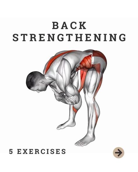 Coach J on Instagram: "Stretch and strengthen your back with these dynamic movements. Definitely good for when feeling tight or stiff in the morning, as well as after sitting down for long periods of time. Really useful for loosening up the spine while building up the lower and upper back muscles. Add these to your warm up routine or to cool down after your workout for a good stretch and recovery.
#stretchandstrengthen #backstrengthening #backpainremedy #homefitnessprogram 
.
.
.
Repost @kneepainaid 
Back Strengthening Exercises
 
These are some of the most ‘bang for your buck’ exercises to incorporate vital joint mobility movements as efficiently as possible.

——————
 
Tag someone who needs to see this ❤️
 
——————
Great post by @themobilitymanual
——————
#ptvitals #kneepainaid #jointhealth Mobility Movements, Stretches For Your Back, Back Strengthening, Back Strengthening Exercises, Strengthen Your Back, Back Stretching, Upper Back Muscles, Hip Pain Relief, Warm Up Routine