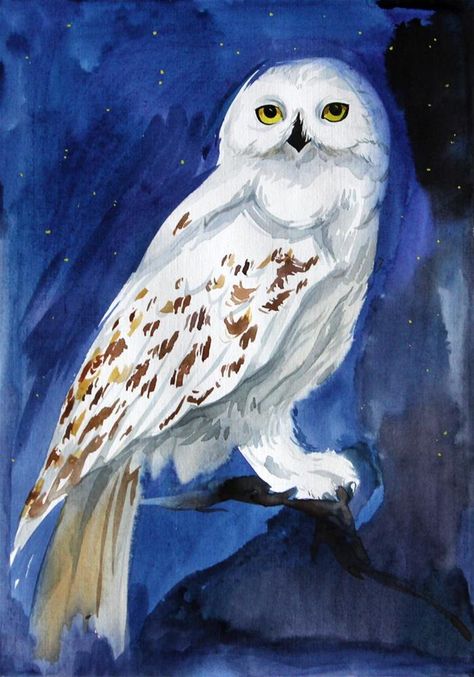 Snowy Owl Painting, Owl Canvas Painting, Harry Potter Library, Harry Potter Owl, Harry Potter Painting, Owl Watercolor, Owl Artwork, Harry Potter Artwork, Canvas Painting Designs