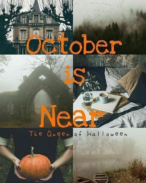 October Eve, Quotes Illustration, October Country, Halloween Queen, October Halloween, Theme Halloween, Halloween Quotes, Pinterest Blog, Autumn Beauty