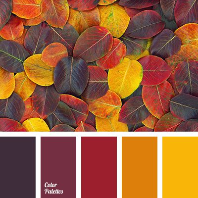 bright red color, brown color, burgundy color, cherry color, color selection, color selection for autumn, orange color, pale yellow color Fall Color Combinations, Color Schemes Colour Palettes, Fall Color Palette, Foto Tips, Color Balance, Drawing Tutorials, Colour Schemes, Color Pallets, Color Swatches