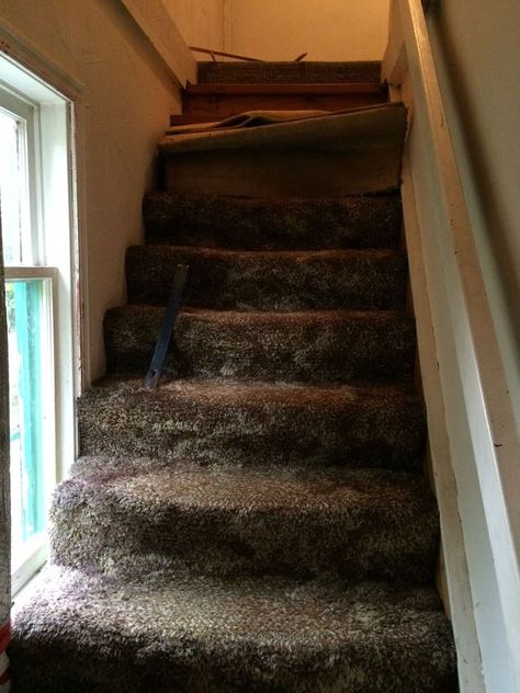 The stairs to master bedroom needed a major new look! [media_id:3297460] Very old stinky shag carpet led to the master bedroom and bathroom.  It was finally tim… Dark Staircase Ideas Brighten, Dark Ceiling Light Walls, Dark Stairway, Stenciled Stairs, Painting Stairs, Dark Staircase, Savannah House, House Lift, House Maintenance