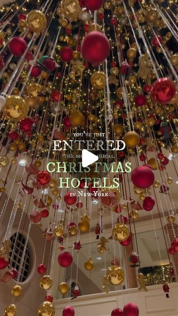 My Christmas in New York | Marco Abbiati on Instagram: "😮 VISIT these HOTELS with our Tour ⤵️

Joining our “My Christmas Morning in Manhattan” Tour you will access the lobbies of the 3 best Christmas Hotels in New York: PLAZA, PENINSULA, and LOTTE HOTELS

Also, you will enjoy additional EXCLUSIVE perks:

1️⃣ SKIP the LINE at Papillon, Midtown Manhattan’s most famous Christmas-themed restaurant: all tour guests will have a guaranteed table for lunch, bypassing the line at the entrance

OR (depending on your choice at the time of booking)

2️⃣ Access Lillie’s Victorian Christmas Restaurant BEFORE they open their doors to the general public for exclusive photos with their Christmas decorations and a guaranteed table for lunch

🔗 LINK in BIO @mychristmasinnewyorkcity for tickets

🛜🎟️ Visit Bryant Park Winter Village, Lotte New York Palace, Rockefeller Tree, Christmas Restaurant, Christmas New York, Christmas Hotel, Christmas Travel Destinations, Hotel Christmas, Themed Restaurant