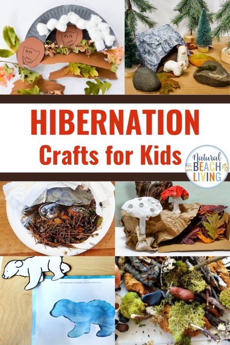 Hibernation Crafts for a Winter Animal Theme - Natural Beach Living Bear Hibernating Craft, Bear Process Art Preschool, Animals That Hibernate Crafts, Hibernating Animals Crafts, Preschool Beaver Activities, Winter Hibernation Preschool Crafts, Hibernation Preschool Activities Science, Bear Hibernation Craft Preschool, Animal Hibernation Activities