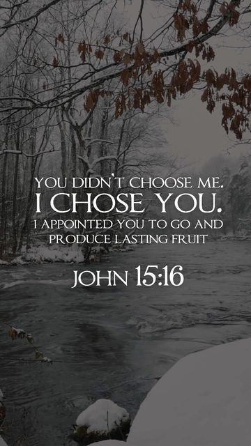 John 15 16 Wallpaper, John 15 16, Gods Favor, Scripture Of The Day, Bible Quotes Wallpaper, Jesus Bible, Daily Bible, Inspirational Quotes God, Daily Bible Verse