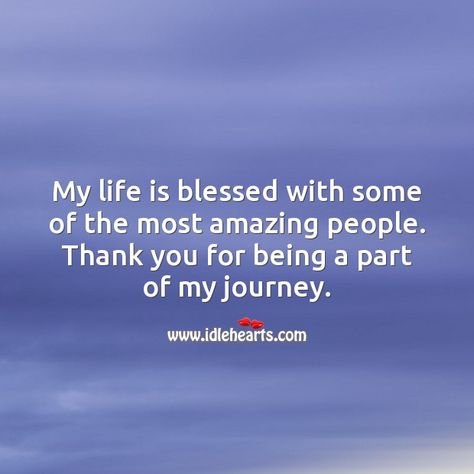 My life is blessed with some of the most amazing people. Thank you for being a part of it. Blessed With People In My Life, Thank You To All The People In My Life, Gratitude For People In My Life, Thank You To The People In My Life, Thank You God For The People In My Life, Blessed With Good People Quotes, Amazing People Quotes Friendship, Thank You For Good Memories, Thankful For The People In My Life Quote