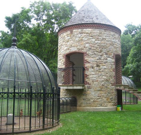 Before you decide to own chicken on your home, you need to provide their 'home' first. These beautiful chicken coop ideas will help you designing it.  #chicken #coop #cage #roosting #repin #follow #backyard Philadelphia Suburbs, Fancy Chicken Coop, Hen Houses, Chicken Coup, Large Bird Cages, Fancy Chickens, Chicken Tractor, Chicken Run, Beautiful Chickens