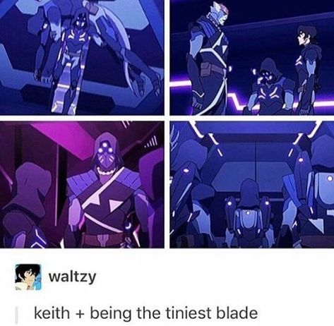 Bottom Keith Voltron, Blade Of Marmora, Voltron Keith, Voltron Galra, Smol Bean, Voltron Funny, Voltron Comics, Form Voltron, Voltron Ships