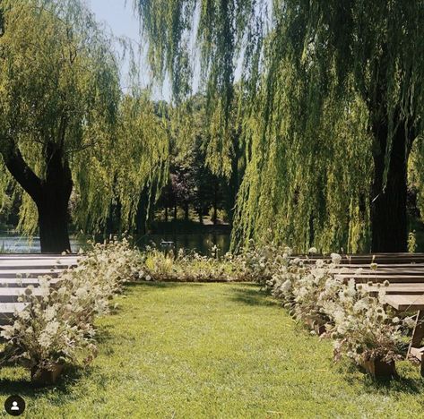 Willow Tree Wedding, Still Life With Flowers, Floral Installations, Dream Wedding Decorations, When I Get Married, Future Wedding Plans, Dream Wedding Ideas Dresses, Garden Party Wedding, Wedding Mood Board