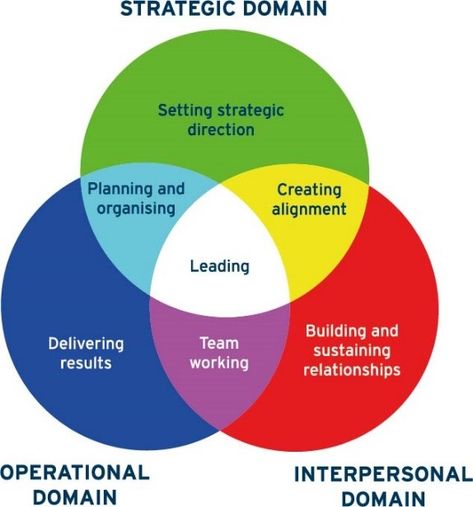 Leadership Competencies, Leadership Models, Leadership Inspiration, Leadership Strategies, Primary Colours, Leadership Management, Leadership Tips, Venn Diagram, Business Leadership