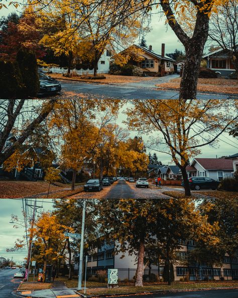 Washington State Aesthetic Fall, Tacoma Washington Aesthetic, Pnw Fall, Pnw Aesthetic, Seattle Photography, 2024 Moodboard, Tacoma Washington, Instagram Autumn, Tacoma Wa