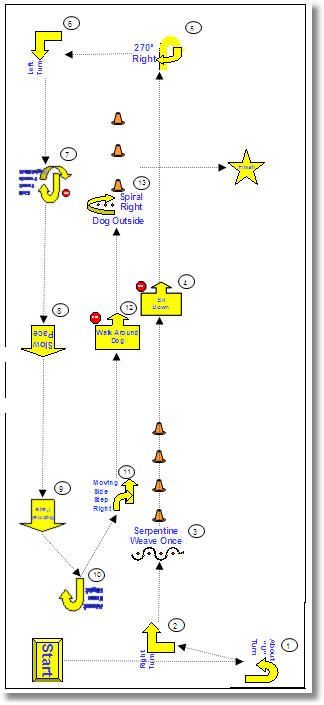 Rally course Rally Obedience, Dog Biting Training, Dog Kennel Designs, Agility Training For Dogs, Cat Ideas, Agility Training, Dog Agility, Cat Training, Sporting Dogs