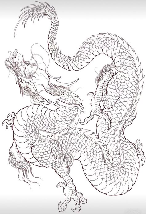 Dragon Tattoo Outline, Traditional Japanese Dragon, Arte Hippy, Dragon Tattoo Drawing, Japanese Dragon Drawing, Minimal Tattoo Designs, Minimal Tattoo Ideas, Asian Dragon Tattoo, Dragon Tattoo Sketch