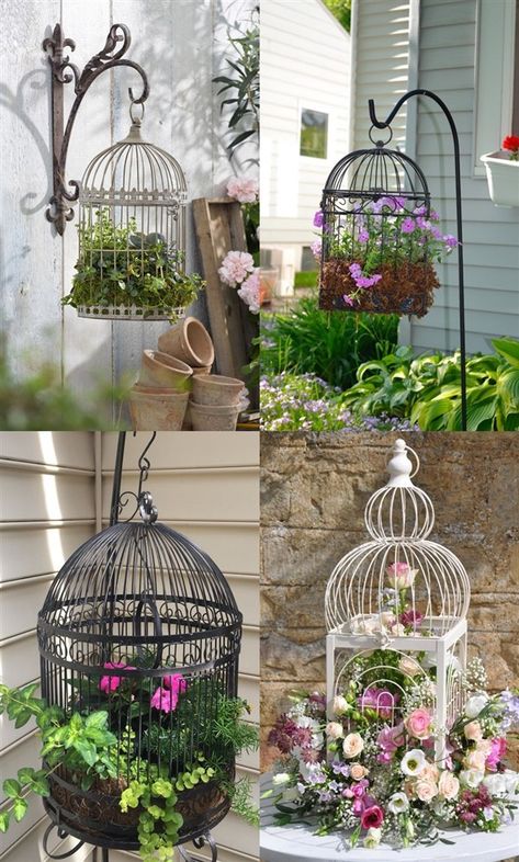 72 Stunning Birdcage Flower Planters - Balcony Decoration Ideas in Every Unique Detail Diy Birdcage, Birdcage Planter, Recycling Ideas, Eco Friendly Garden, Bird Cage Decor, Birdcages, Garden Containers, Garden Yard Ideas, Bird Cages