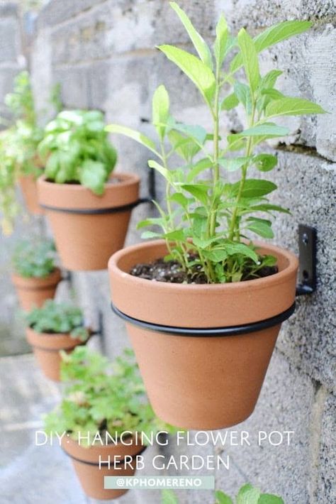 Herb Garden Wall, Herb Garden Pots, Outdoor Herb Garden, Hanging Herb Garden, Hanging Herbs, Diy Herb Garden, Vertical Herb Garden, Herb Planters, Patio Furniture Ideas