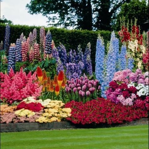 Spring Garden spring outdoors flowers garden flowerbed bulbs seasons spring garden Perennial Garden Design, Garden Flowers Perennials, Garden Design Plans, Landscape Designs, Have Inspiration, The Secret Garden, Perennial Garden, Gorgeous Gardens, Flowers Perennials