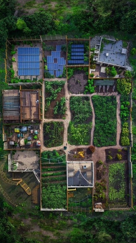 Solar Panel Farm, Commune Layout, Homestead Layout, Self Sufficient Homestead, Farm Plans, Farm Layout, Solar Farm, Homestead Gardens, Permaculture Design