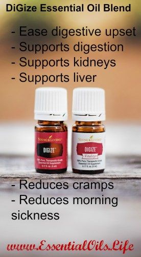 Digize Essential Oil How To Use, Digize Essential Oil, Essential Oils For Nausea, Essential Oil Education, Aromatherapy Recipes, Essential Oils Health, Morning Sickness, Essential Oil Blend, Oil Blends