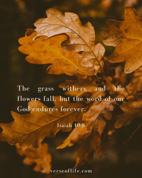 🍂 Isaiah 40:8 reminds us that God's word endures forever, unlike the fleeting nature of grass and flowers. As autumn leaves fall, we're reminded of life's impermanence, yet God's truth remains constant. His promises are our eternal anchor.⁣ Prayer: Lord, root us in Your enduring word as seasons change. May Your timeless truth guide us always.⁣ #AutumnFaith #GodsWord 🍁📖❤ Thankful Scripture, Bible Verses About Nature, Fall Bible Verses, Psalms Verses, Isaiah Bible, Grass And Flowers, Inspirational Encouragement, Bible Verses For Women, Comforting Bible Verses