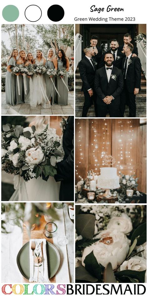 Wedding Sage Color Schemes, Sage Green Black And White Wedding Theme, Sage Green Fall Wedding Theme, Moss Green And Black Wedding, Sage Green Wedding Color Pallet, Save Green Wedding, Black White Sage Wedding, Wedding Color Palette With Black, Sage Green Wedding Theme Color Palettes