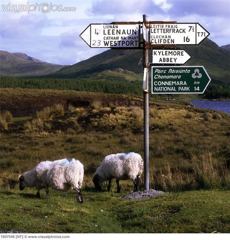 Kylemore Abbey, Ireland Aesthetic, Ireland Tours, County Galway, Love Ireland, Irish Landscape, Galway Ireland, Visit Ireland, Irish Heritage