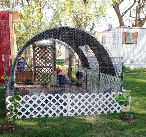 Most liked posts in thread: DIY Thread - Let's see your "Inventions". | Page 9 | BackYard Chickens