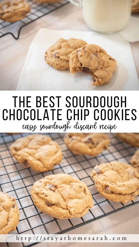 Sourdough Choc Chip Cookies, Sourdough Oatmeal Chocolate Chip Cookies, Discard Chocolate Chip Cookies, Discard Cookies, Sourdough Chocolate Chip Cookies, Discard Recipe, Sourdough Starter Discard Recipe, Starter Recipes, Einkorn Flour