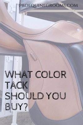 How to pick the best color for your horse's tack! https://www.proequinegrooms.com/tips/saddles-and-bridles/how-to-pick-the-best-color-for-your-horse-s-tack/ Dark Bay Horse Tack Colors, Grey Horse Tack Colors, Bay Horse Tack Colors, Buckskin Horse, Riding Tips, Horse Riding Tips, Pinto Horse, Bay Horse, Horse Equipment