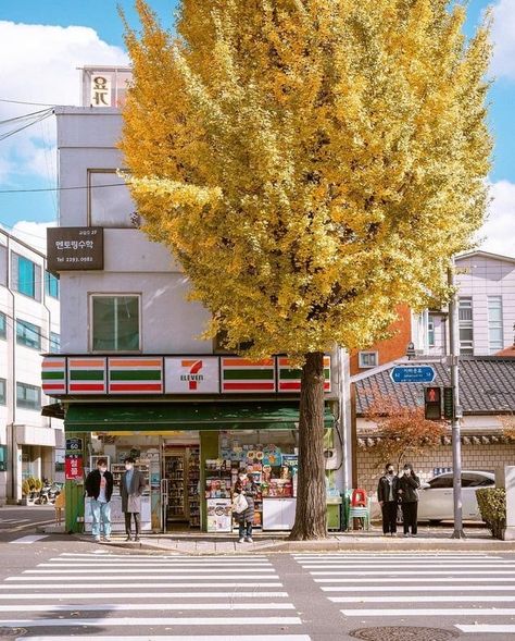 Jongno Seoul, Shop Fronts, Seoul South Korea, Store Fronts, South Korea, Seoul, Convenience Store, Collage, Books