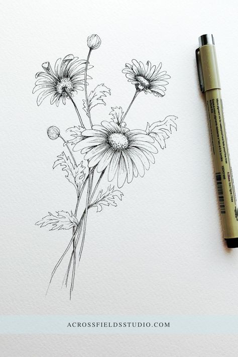 Black and white ink drawing. Floral bouquet of daisies. Drawn with micron pen. Ink sketch. #inkdrawing #pensketch #linework | @acrossfieldsstudio Daisy Flower Drawing, Daisy Drawing, Flower Bouquet Drawing, Tattoo Zeichnungen, Daisy Tattoo, Flower Art Drawing, Flower Sketches, 수채화 그림, Pen Sketch