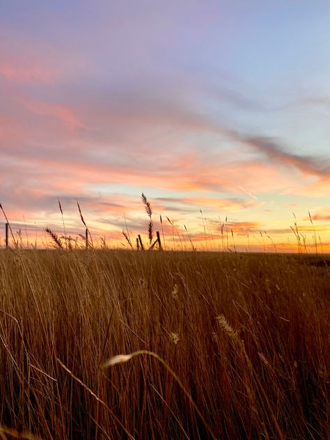 Julian Core, Prairie Aesthetic, Prairie Sunset, Country Nature, Grassy Meadow, Sunrise Colors, Flint Hills, Website Photos, Bohemian Style Wedding